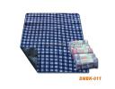 Picnic Mat - DMBK-011