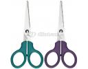 Stationery(office) Steel Scissors - FTS6201