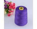 Polyester over lock thread - PT003