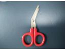 Scissor - DFOD-0056